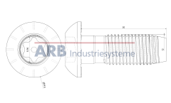 Zentralschraube 12 TX50SF 12x30 verzinkt